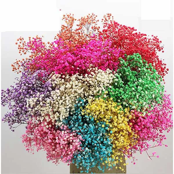 Bí quyết làm hoa baby xanh lá cây đẹp