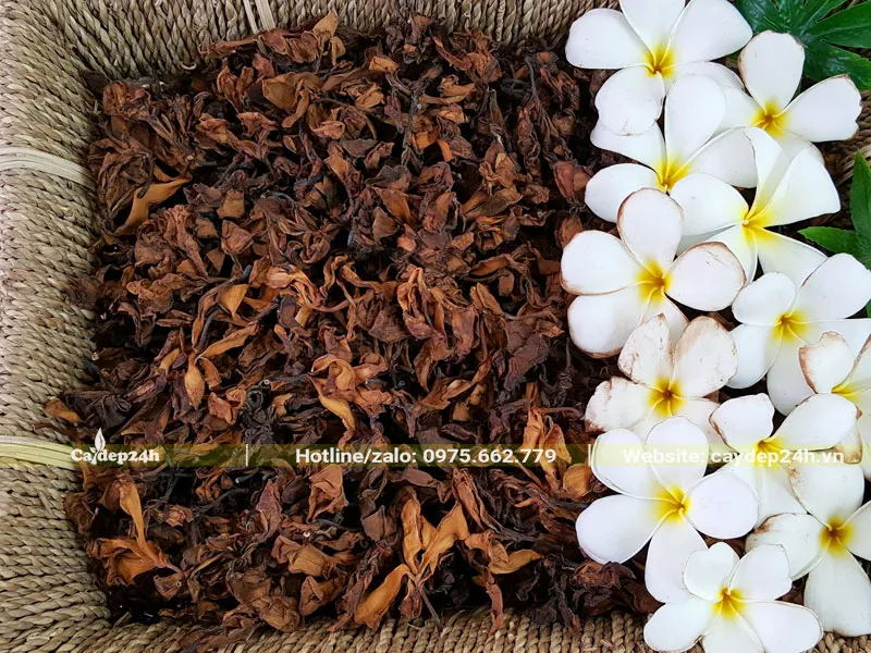 Phơi khô hoa đại để làm thuốc