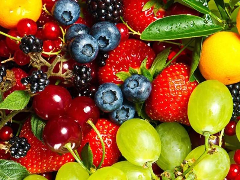 Trái cây nhiệt đới phong phú