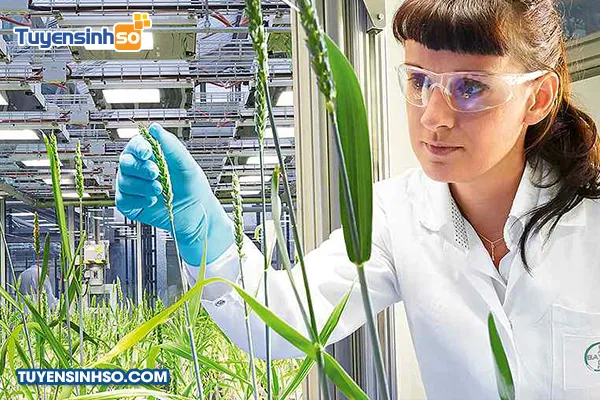 Học ngành Khoa học cây trồng ra trường không lo thất nghiệp