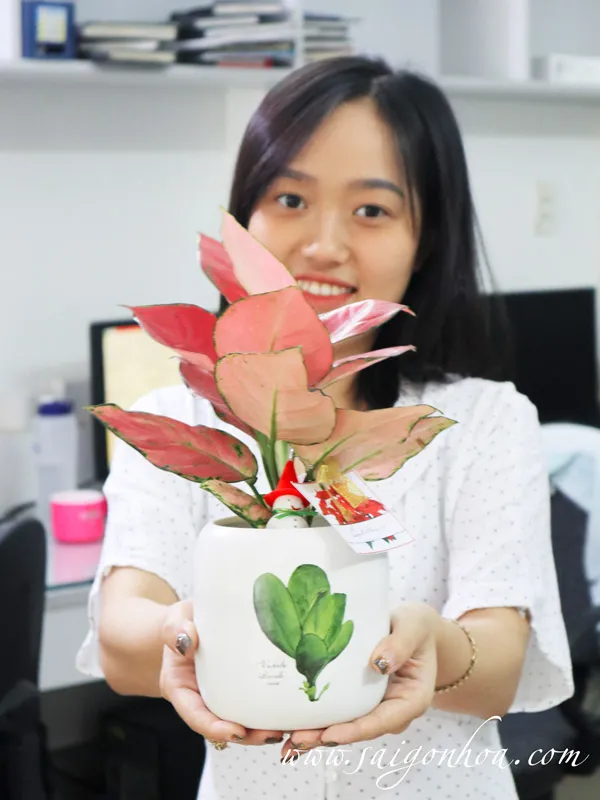 Hồng Phát Lộc để bàn