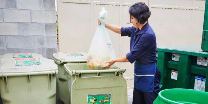 Hướng Dẫn Chi Tiết Cách Tái Chế Chai Nhựa Thành Chậu Trồng Rau Tại Nhà