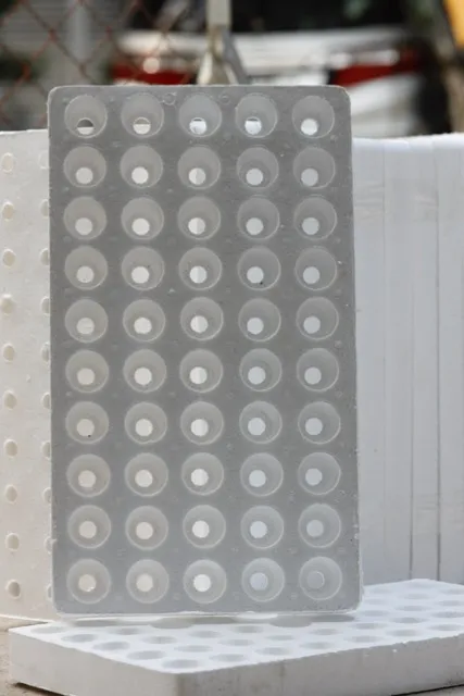 Khay xốp ươm cây 50 lỗ chất lượng cao giúp bảo vệ bầu rễ cây giống