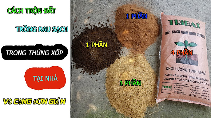 Hướng Dẫn Chi Tiết Cách Trồng Cây Cà Chua Trong Thùng Xốp Tại Nhà