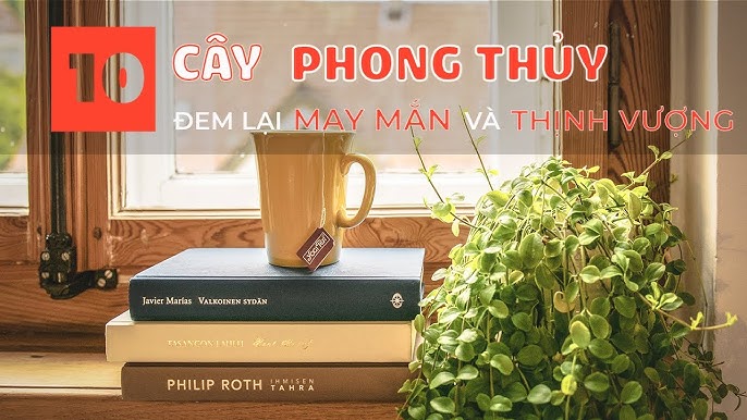 10 Loại Cây Phong Thủy Nên Trồng Trong Nhà Để Thu Hút May Mắn Và Thịnh Vượng