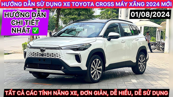 Hướng Dẫn Chi Tiết Chọn Mua Máy Sấy Trái Cây Gia Đình Tốt Nhất 2024