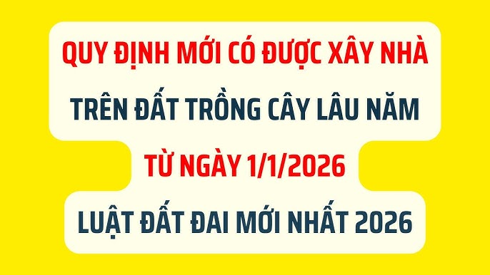 Đất Trồng Cây Hàng Năm Có Được Xây Nhà Không? Quy Định Mới Nhất 2024