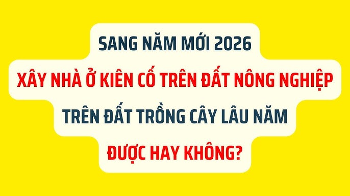 Xây Nhà Cấp 4 Trên Đất Trồng Cây Lâu Năm: Quy Định Pháp Lý & Thủ Tục Chi Tiết