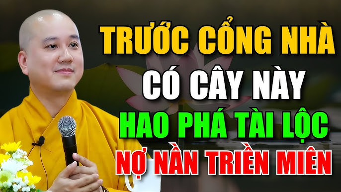 5 Loại Cây Nên Trồng Trước Nhà Theo Quan Niệm Phong Thủy Và Thực Tế