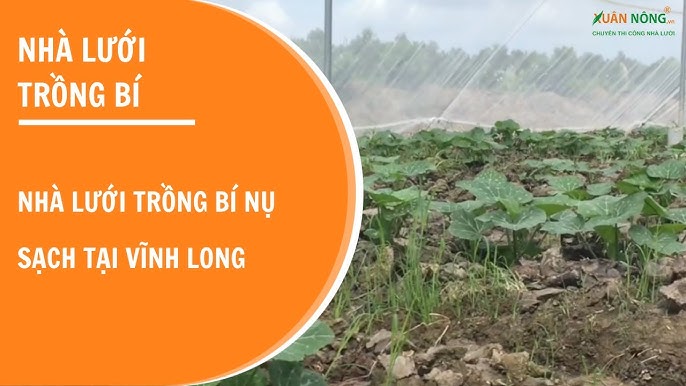 Lưới Trồng Cây Dây Leo Chất Lượng Cao Cho Giàn Cây Sạch