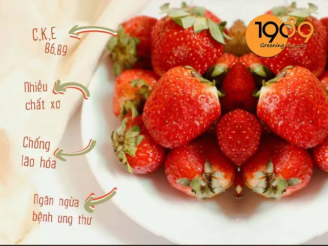 Hướng dẫn cách làm đất trồng dâu tây trong chậu