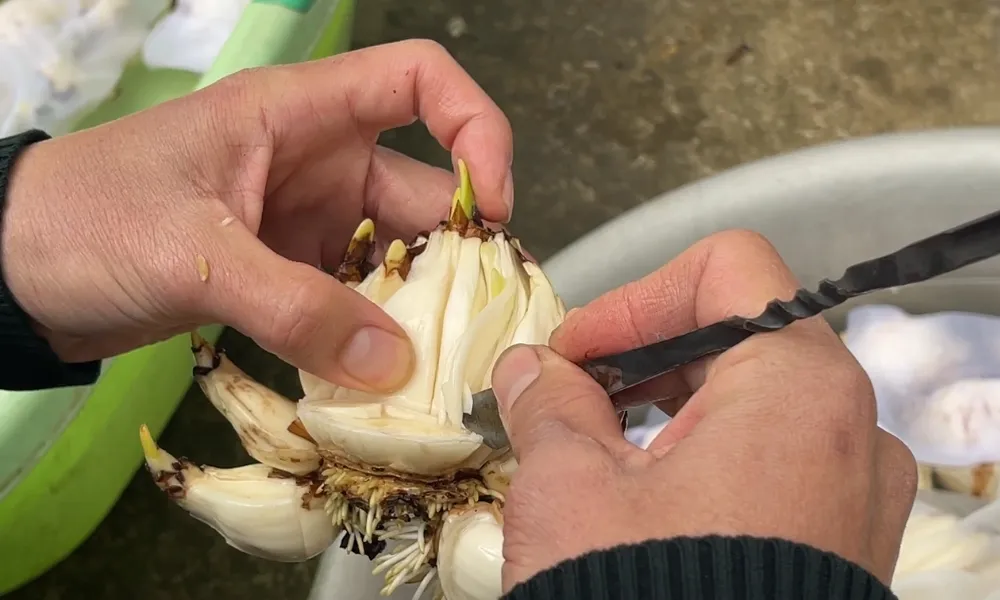 Cách gọt củ hoa thủy tiên