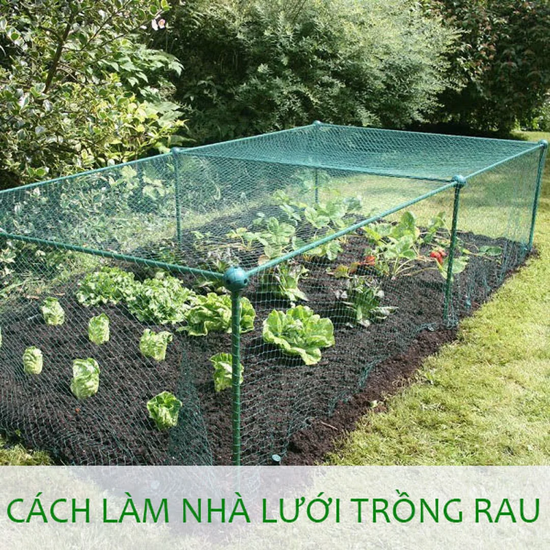 Hướng dẫn làm nhà lưới trồng rau