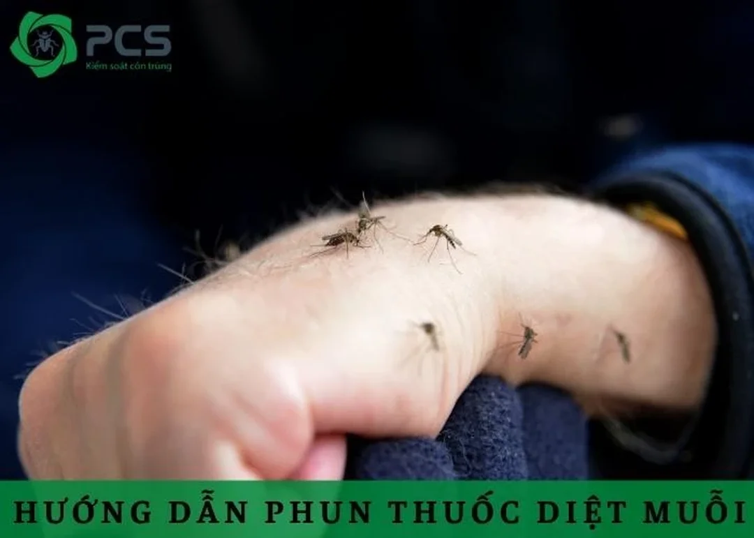 Hướng dẫn phun thuốc diệt côn trùng đúng kỹ thuật
