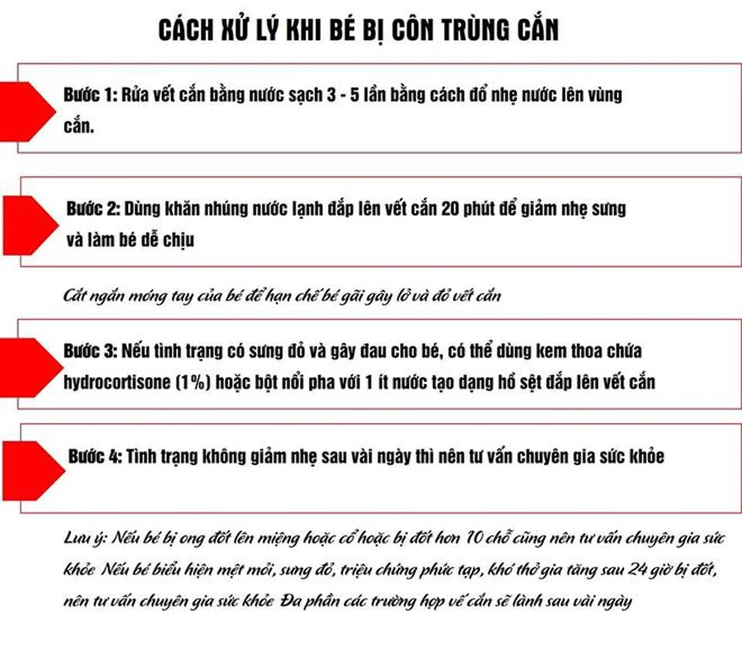 Hướng dẫn sơ cứu khi bị côn trùng đốt