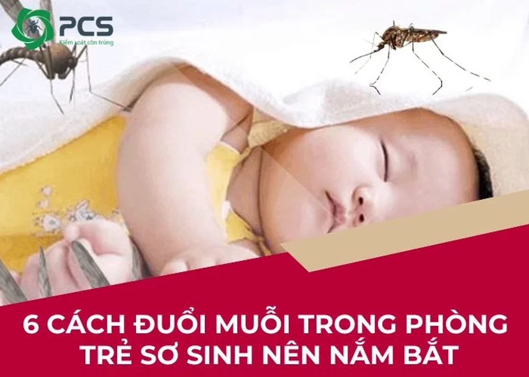 Hướng dẫn xử lý muỗi đốt cho trẻ sơ sinh an toàn