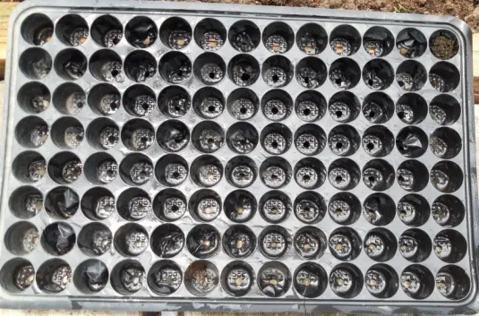 image 20200810103814 3