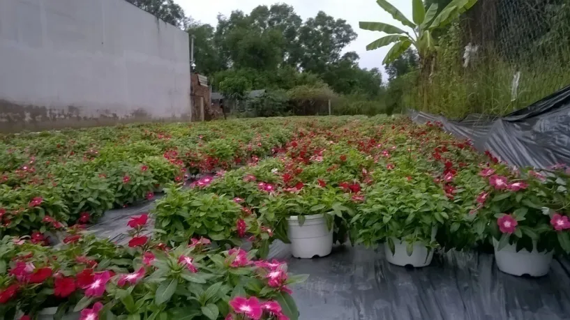 image 20200810103814 4