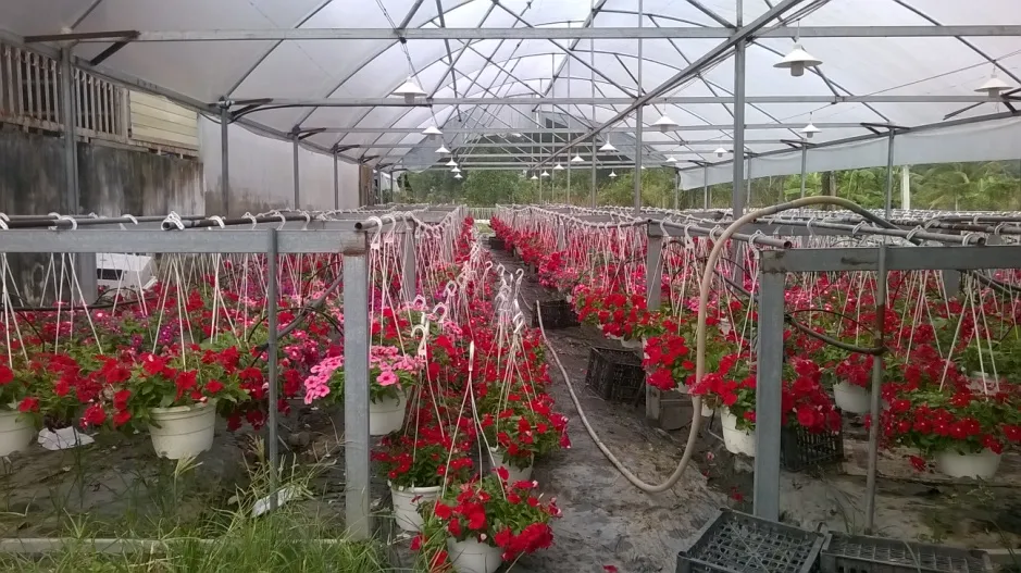 image 20200810103814 5