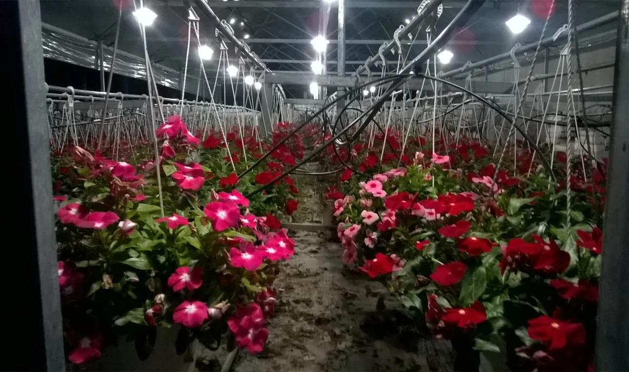 image 20200810103814 6