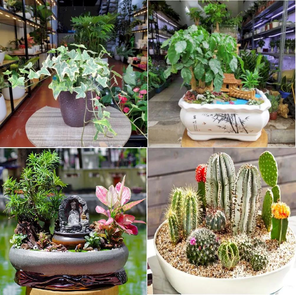 Sắc xanh dương hoặc xanh đen của lá cây giúp người mệnh Thủy điềm tĩnh hơn