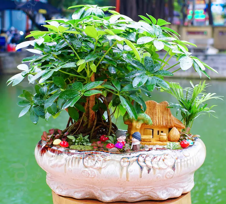 Nhóm cây có màu sắc rạng rỡ thường mang năng lượng tích cực cho gia chủ mệnh Thổ