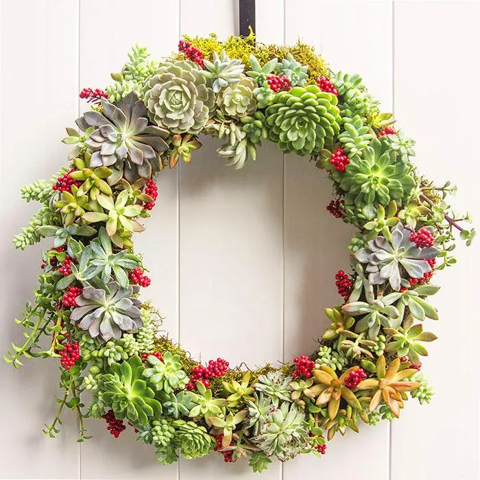 Vòng hoa sen đá tinh tế treo trước cửa