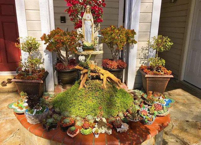 Tiểu cảnh sen đá mang hơi thở thần tiên vào không gian