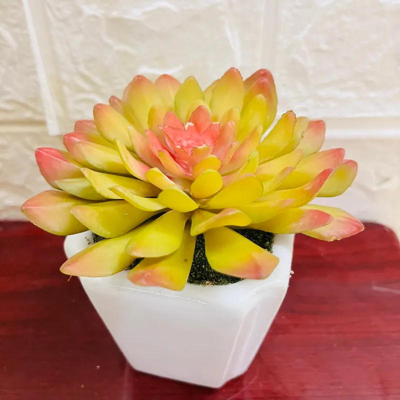 Sen đá vàng rực rỡ dưới ánh nắng mặt trời