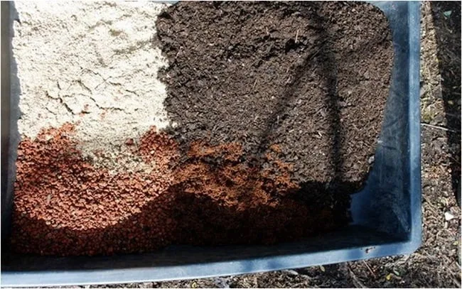 Giá thể trồng cây gồm xơ dừa, đất mùn và trấu hun