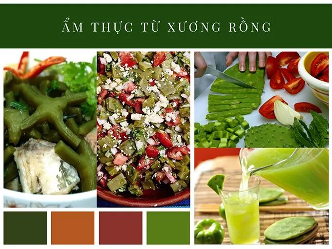 Món ăn chế biến từ xương rồng tại các nước Nam Mỹ