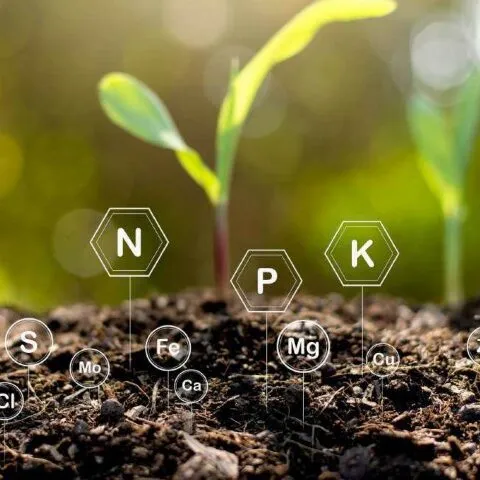 Các chỉ số tăng trưởng ấn tượng của doanh nghiệp qua các năm