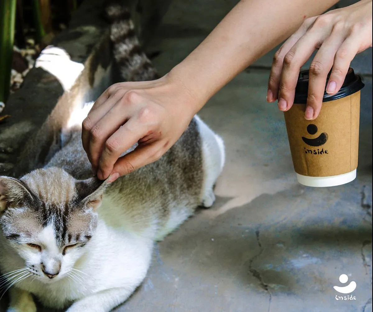 Đồ uống tại Inside Cafe