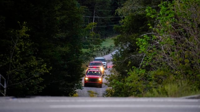 Hướng Dẫn Chi Tiết Các Cách Làm Cây Chết Mà Không Cần Chặt Hạ