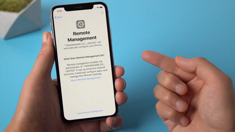 Cách Nhận Biết Cây An Xoa Chuẩn Xác Nhất