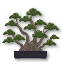 Bonsai thế Kabudachi (đa thân)
