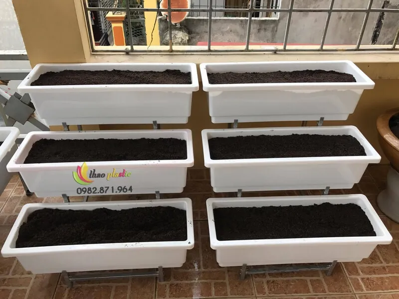 Chậu nhựa 68cm xếp trên giá kệ 3 tầng, minh họa cách bố trí tối ưu không gian ban công