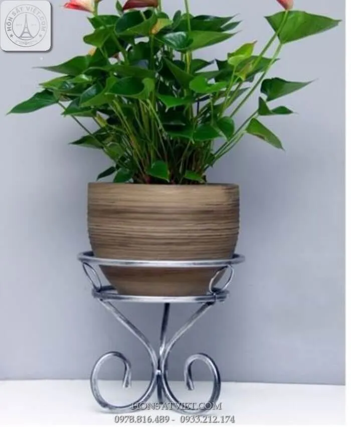 Kệ đế cây cảnh bằng sắt trưng bày cây cảnh đơn giản