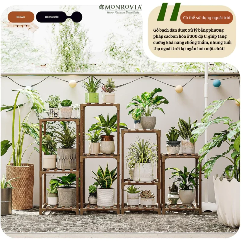 Trồng Cây Ban Công Chung Cư: Biến Không Gian Sống Thêm Xanh Mát