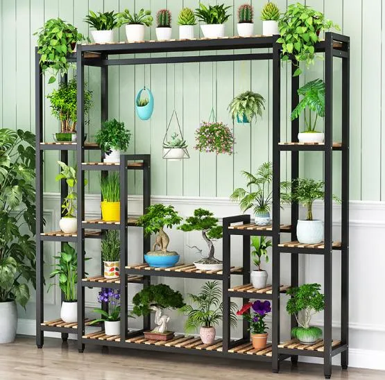 Ke Trung Bay Cay Canh 1