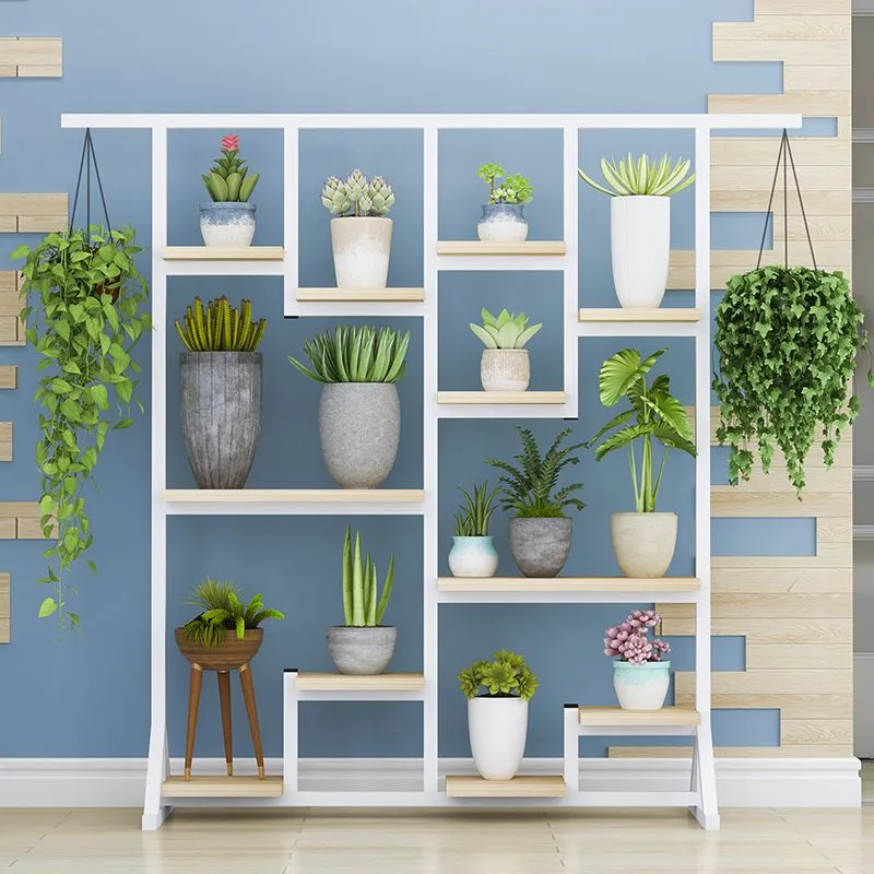 Ke Trung Bay Cay Canh 4