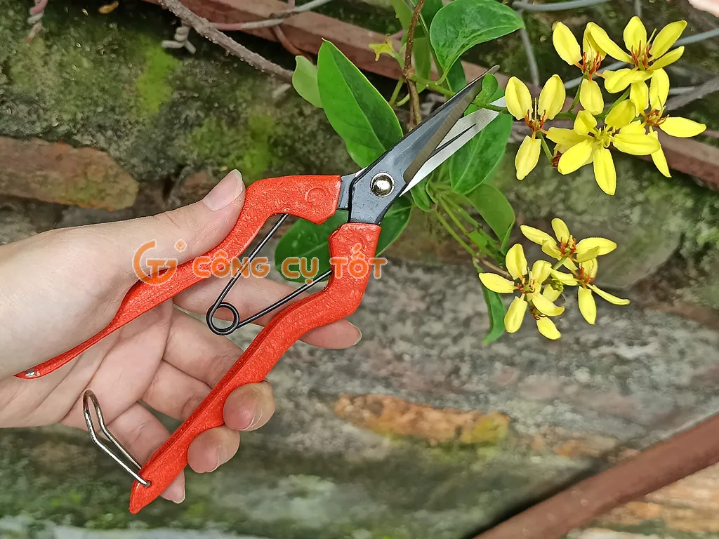 Kéo tỉa Bonsai Nhật Bản