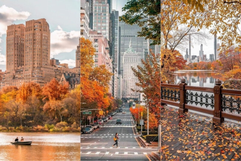 Khám Phá Trái Cây Đặc Sản Tây Ninh: Hương Vị Vùng Đất Nắng Gió