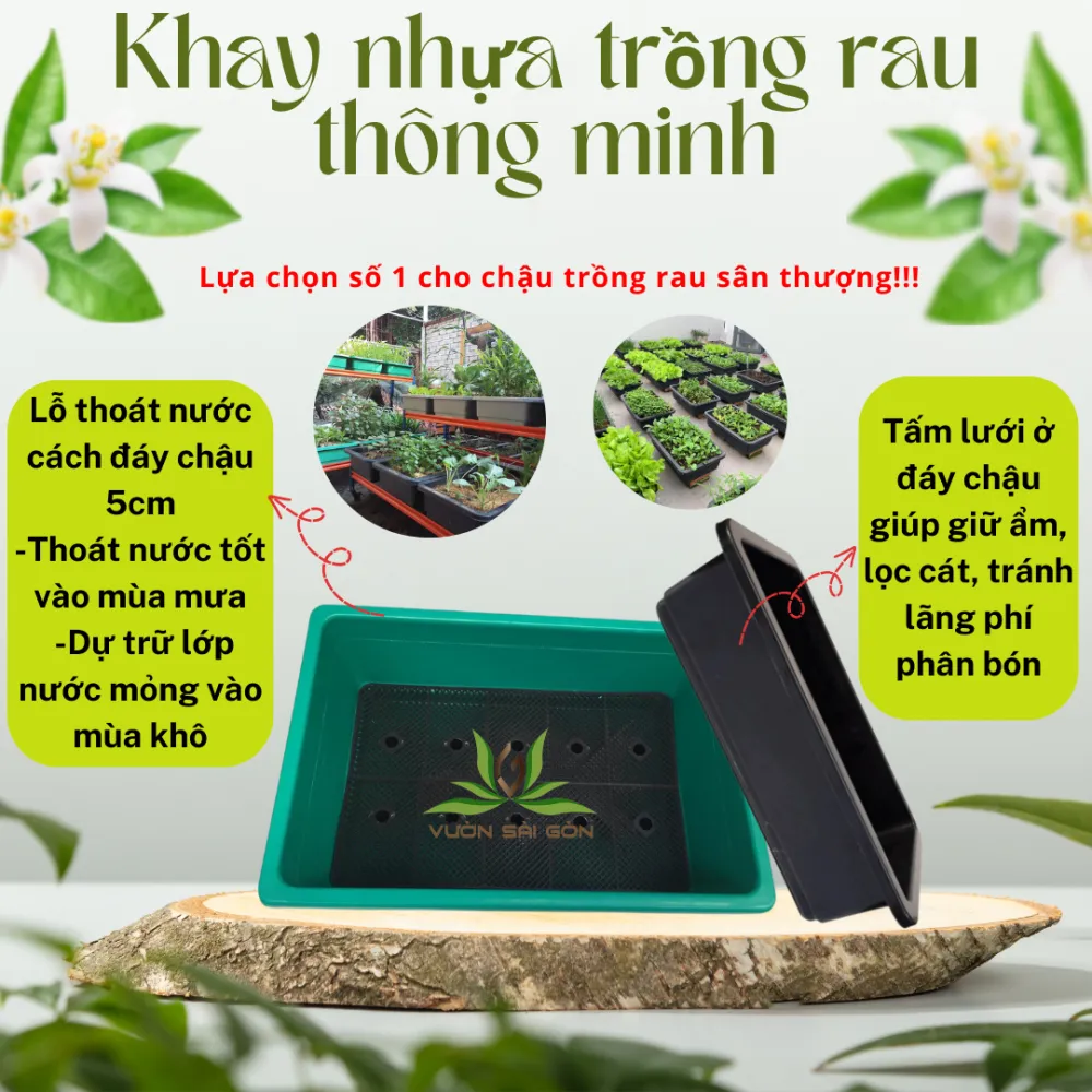 Khay Nhua Trong Rau Thong Minh (4)