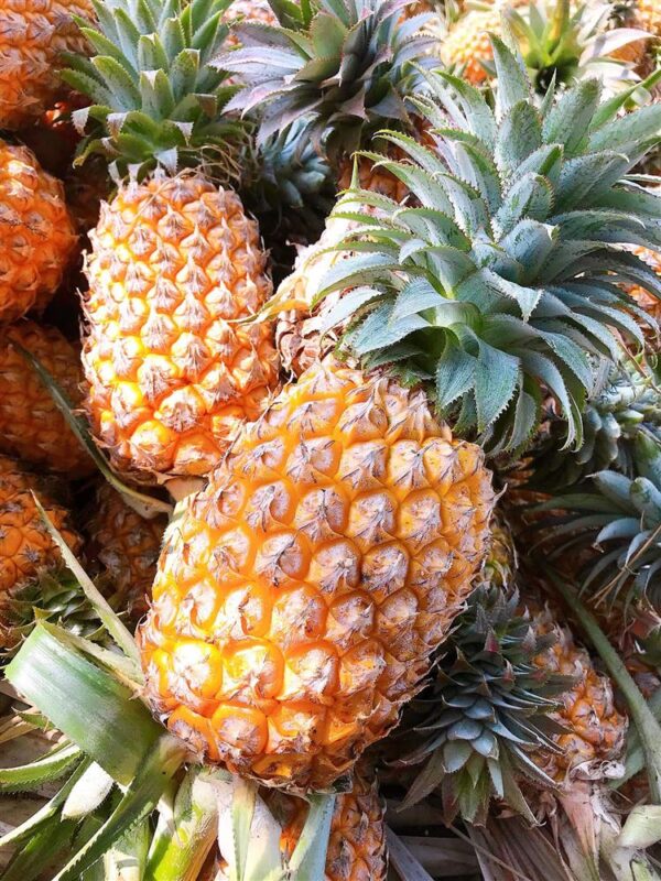 Khám Phá Các Loại Kẹo Trái Cây Thơm Ngon Và Đa Dạng