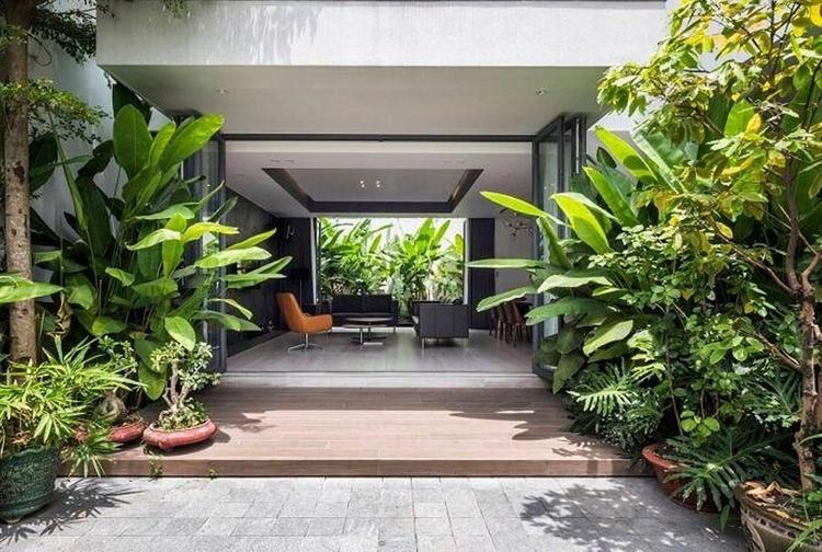 Không Nên Trồng Cây Gì Trước Nhà? Giải Mã Quan Niệm Phong Thủy và Lời Khuyên Thực Tế