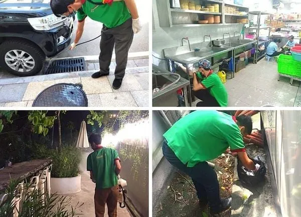 Hệ thống bẫy dính giám sát côn trùng trong nhà máy thực phẩm