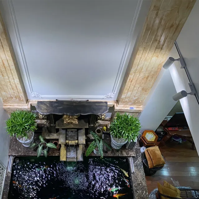 đèn ray tăng cường UV hồ cá koi