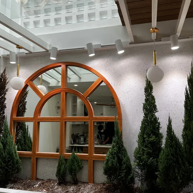 trồng thông trong nhà bằng đèn LED