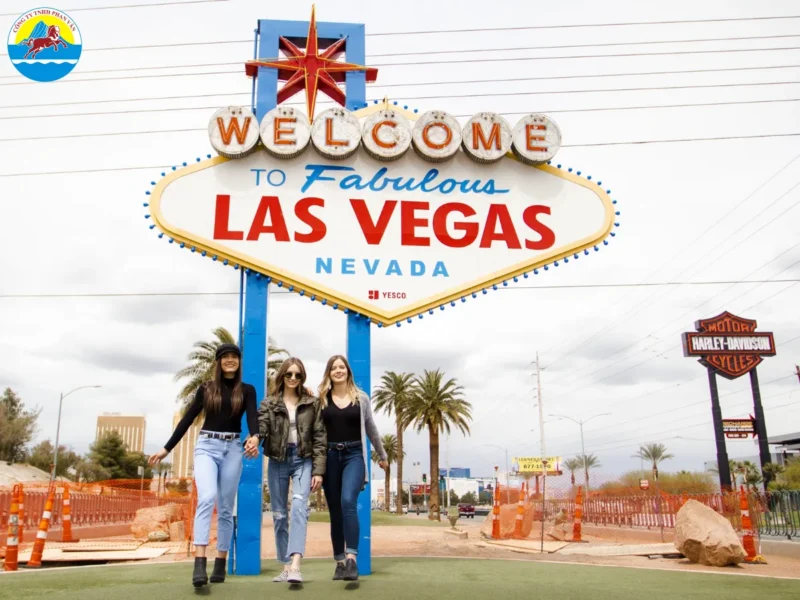 Khám Phá Thế Giới Cây Trồng Thủy Canh Trong Nhà: Hướng Dẫn Chi Tiết Từ A-Z